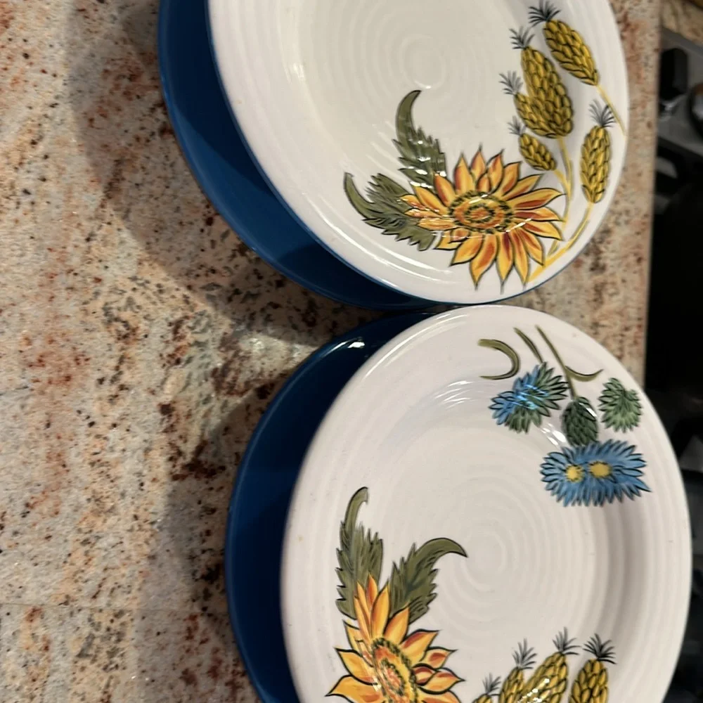 Pier 1 🌻 EUC Sunflower Fields Salad Plates - 1 plate listing Very Gently Used!